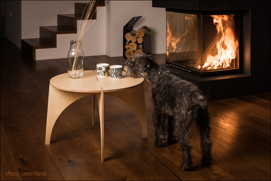 Image fotografiranje izdelkov - Sestavljiva lesena mizica avtorje Veronike Ule in Andija Kodra s psom ob kaminu